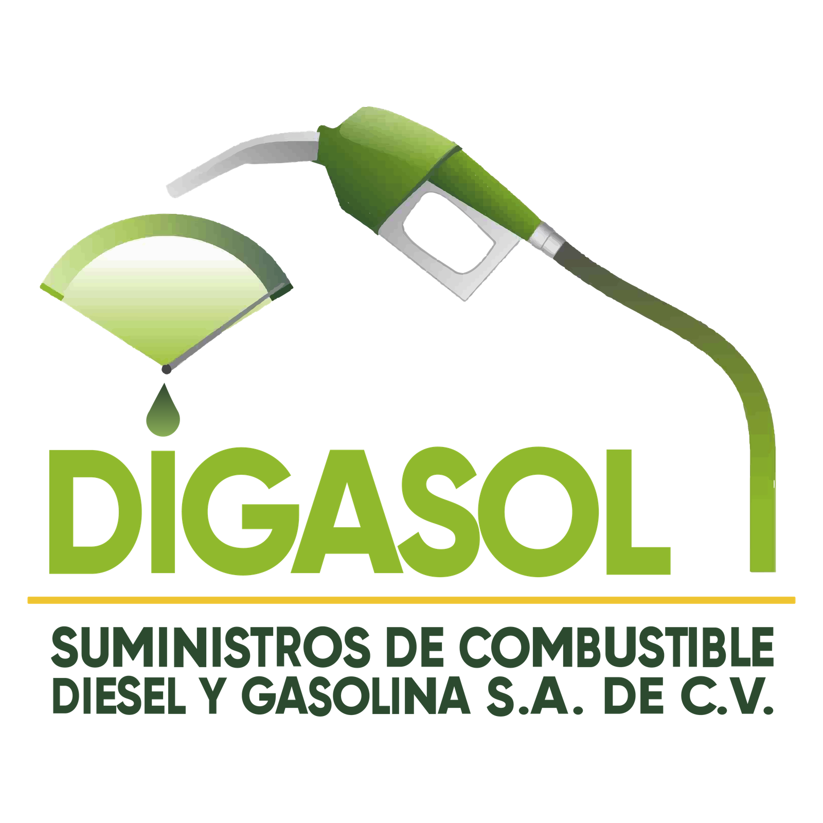 Digasol Logo